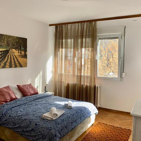 Star Apartment Belgrade Extérieur photo