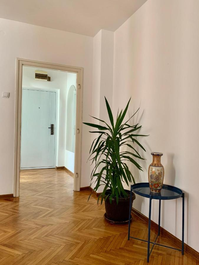 Star Apartment Belgrade Extérieur photo